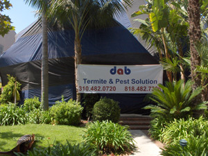 House-Fumigation-Tenting